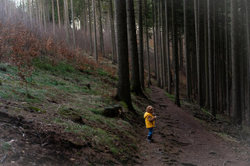 Small child in a yellow jacket walking along a path in a quiet pine forest on an overcast day. Concept of children's adventures, exploring nature and playing outdoors in a serene forest setting. High