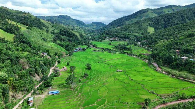 Aerial view of Green Terraces rice field, a beautiful natural beauty on mountain in Nan, Ban wen Rice Terraces, Bokluea Nan Province, Thailand.