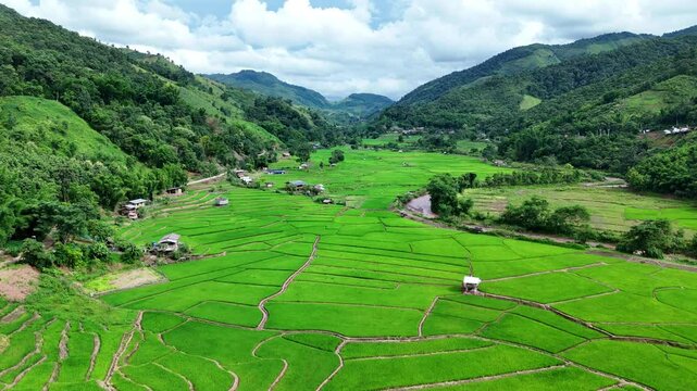 Aerial view of Green Terraces rice field, a beautiful natural beauty on mountain in Nan, Ban wen Rice Terraces, Bokluea Nan Province, Thailand.