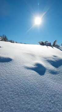 Ripresa aerea tra i rami degli alberi coperti di neve fresca.
Volando con il drone tra gli alberi coperti di neve fresca. Alba con il sole in controluce.