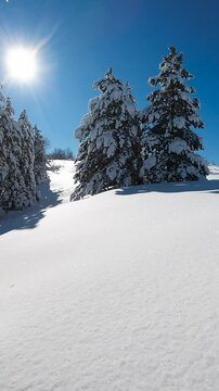 Ripresa aerea tra i rami degli alberi coperti di neve fresca.
Volando con il drone tra gli alberi coperti di neve fresca. Alba con il sole in controluce.