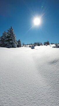 Ripresa aerea tra i rami degli alberi coperti di neve fresca.
Volando con il drone tra gli alberi coperti di neve fresca. Alba con il sole in controluce.