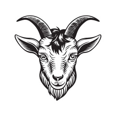 Detailed Goat Head Vector Art Illustrations for Any Project.