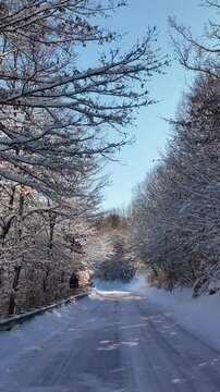 Viale alberato rcoperto di neve fresca. Immagine invernale romantica.
Strada di montagna innevata. Ripresa aerea con drone che sfiora i rami coperti dai fiocchi di neve.