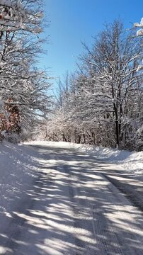 Viale alberato rcoperto di neve fresca. Immagine invernale romantica.
Strada di montagna innevata. Ripresa aerea con drone che sfiora i rami coperti dai fiocchi di neve.
