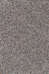 scattered poppy seeds for cooking