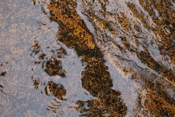 Close up of a mountain stream
