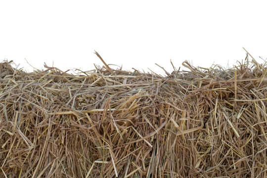 A pile of hay isolated on white background included clipping path.
