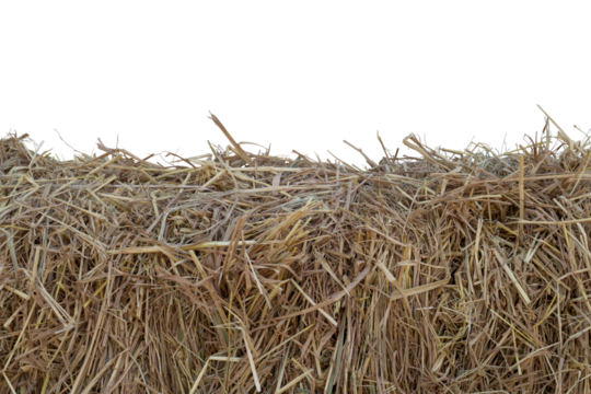 A pile of hay isolated on white background included clipping path.