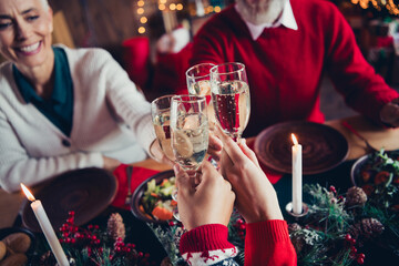 Cropped portrait of full friendly family hands hold clink champagne glass celebrate christmas dinner apartment indoors