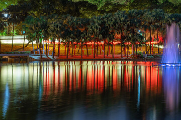 Chinese New Year Festival at Park Grove Lakeside