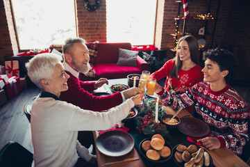 Portrait of big positive family clink juice champagne glass say toast celebrate christmas dinner apartment indoors
