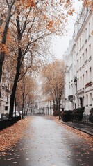 Fototapeta premium Quiet city street in autumn, lined with bare trees and fallen leaves, with white buildings on both sides and a damp road from recent rain.