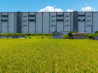 巨大物流センターと田園風景