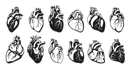 Human heart different shape black monochrome set isometric vector illustration