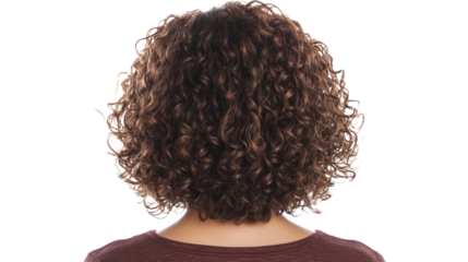 Back view of a person with short, curly brown hair. Isolated on a white background.