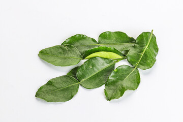 Aroma seasoning kaffir lime leaves