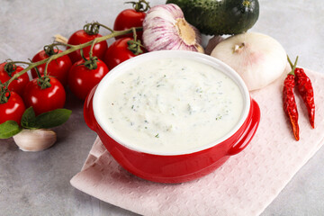Traditional delicious appetizer; greek tzatziki (Turkish name; cacik)