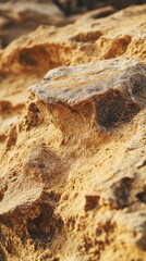 Textured Surface of Eroded Sandstone Rock