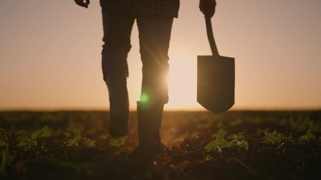 Closeup view of legs and shovel of farm worker in agricultural field, silhouette . Agribusiness and soil cultivation, early morning in farmland in ecological area, slow motion, sunrise in countryside