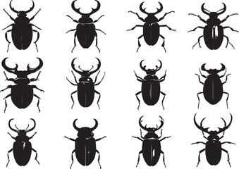 Set bugs. Hand drawn vector illustration	