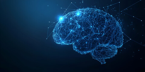 Digital Brain Representation with Neural Connections
