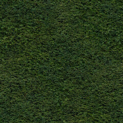 Hedge (seamlessly tileable)