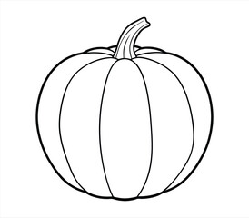 Pumpkin line art  vector on white background
