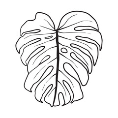 Black outline monstera sheet vector illustration. Isolated on a white background for graphic design.