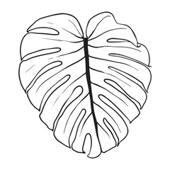 Black outline monstera sheet vector illustration. Isolated on a white background for graphic design.