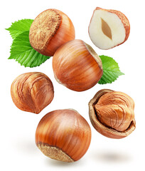 Hazelnuts, hazelnut kernel and green leaves levitating in air on white background. Clipping paths.