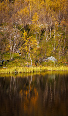 A fraction of a season