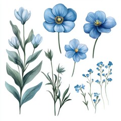 Blue Watercolor Flowers.