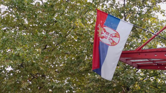 Serbian flag hanging at the entrance of the building. A tree with green leaves in the background. Handheld shot, copy space