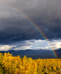 A fraction of a season