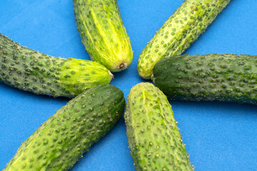 Cucumbers on blue background	