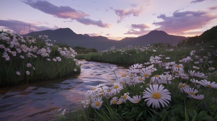 Obraz premium A serene mountain landscape during twilight featuring a gentle stream winding through a meadow filled with vibrant white daisies
