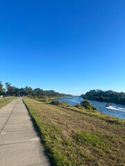 Gorgeous Outdoor View in Florida
