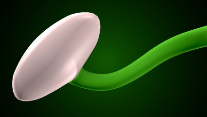 plant growth in stages anatomy system. 3d illustration