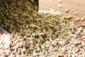wheat grains on wooden plank background, Wheat Seeds, Raw and cooked Barley pearl seeds in a bowl or over brown background. selective focus 
