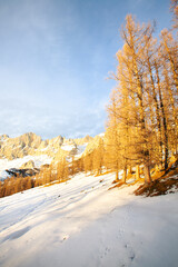 Schnee Wanderung Österreich Alpen Berge