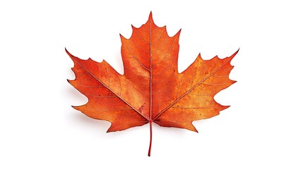 Fototapeta premium Illustrations of the beautiful maple leaves falling from the trees,generated with AI.