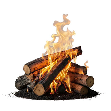 recommend clip art: burning firewood in a fire