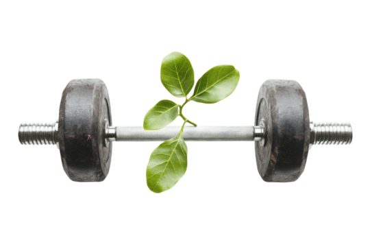 Dumbbell with green leaves, white isolate background transparent background