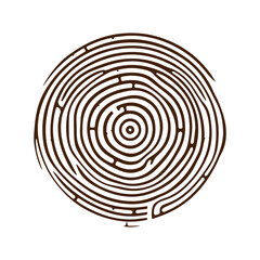  Hand drawn tree ring wood circle vector flat design