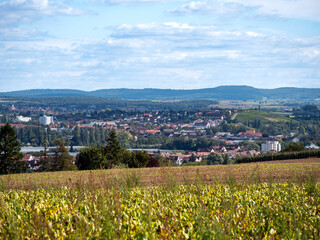 landscape with flowers