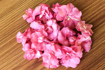 
Pink Kaner or Nerium Oleander Flowers on brown wooden background, Valentines Day, Easter, Happy...