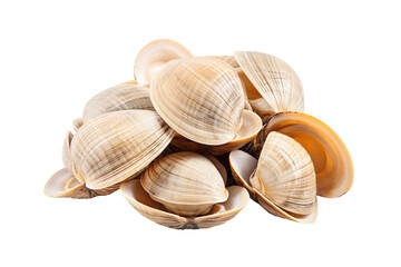 Asari clams isolated on transparent background
