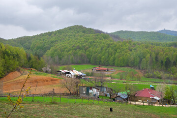 Stone houses built in green forest land. A mountain hut surrounded by greenery in spring. Modern building in forest land. Bursa Kırıntı village.  View of houses on the plateau in rainy weather.