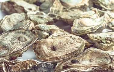 Fresh Shucked Closed Oysters Vietnam Seafood Top View. Selective focus © kravik93